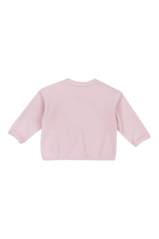 Sweat - Rose