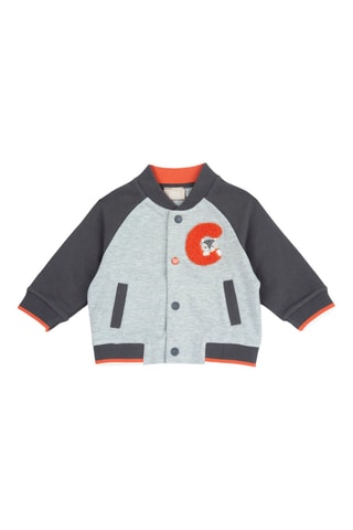 Teddy - Gris