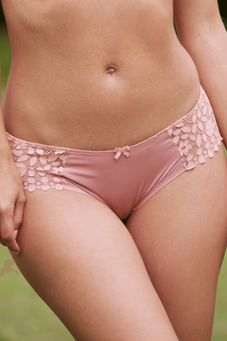 Shorty Dream - Rosa