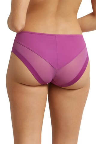 Culotte Generous Classic - Violet