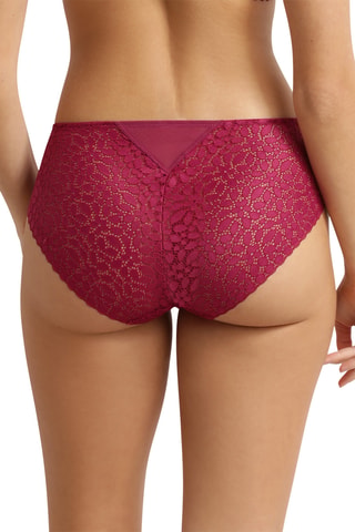 Culotte Essentiel - Bordeaux - Dim