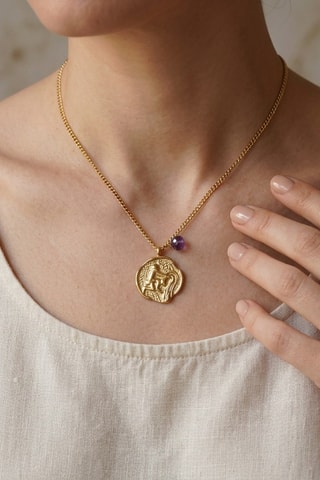 Collier Verseau - Améthyste