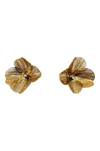 Puces Herbier - Doré