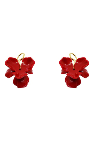 Boucles d'oreilles Herbier - Doré et rouge