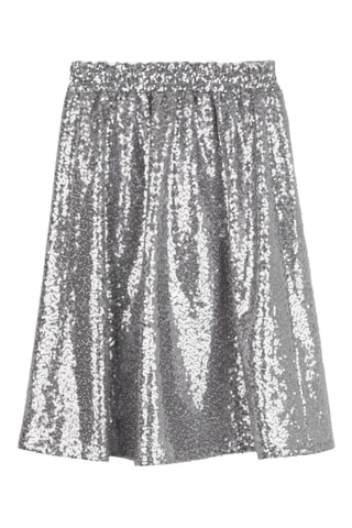 Rok - Zilverkleurig - DKNY