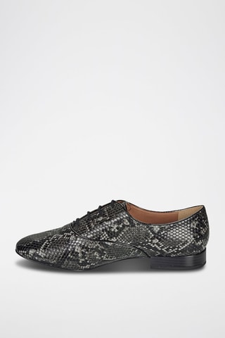 Oxford Violette - Grigio