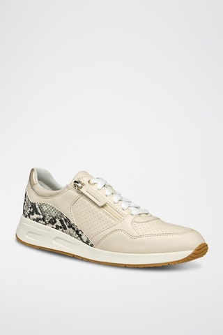 Sneakers Papyrus - Beige - Geox