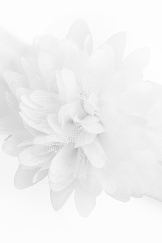 Bandeau - Blanc