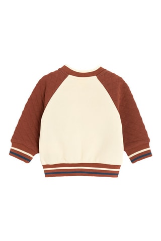 Sweat - Ecru et camel