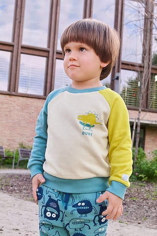 Sweat - Multicolore