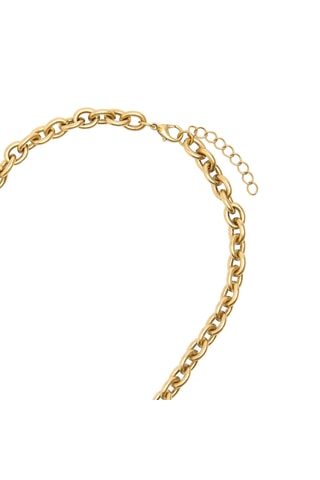 Ketting - Goudkleurig en Bruin