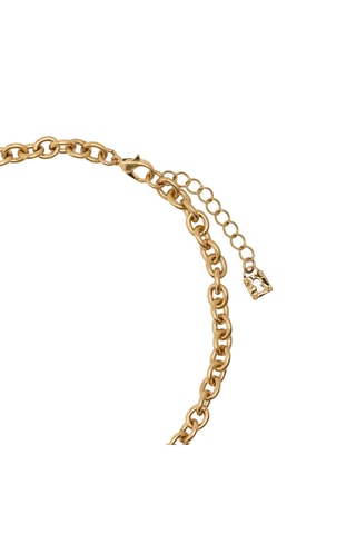 Ketting - Goudkleurig en Bruin