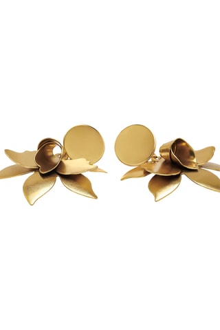 Boucles d'oreilles - Doré