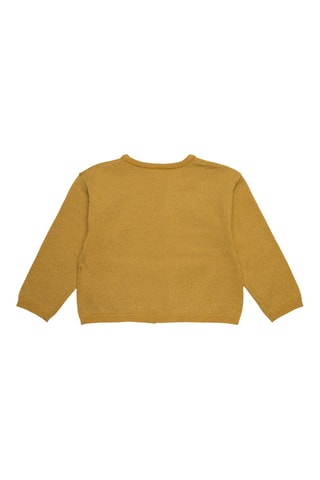 Vest - Goudkleurig