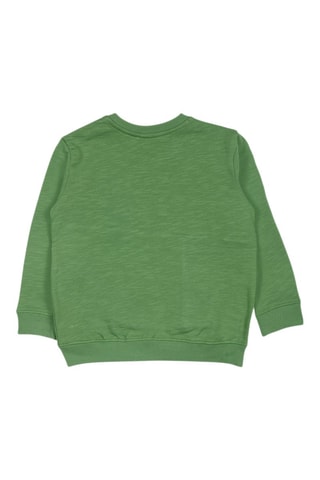 Sweater - Wit, zwart en groen