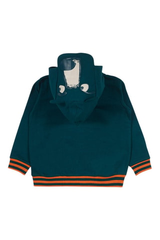Sweater met Capuchon en Oortjes - Groen en oranje