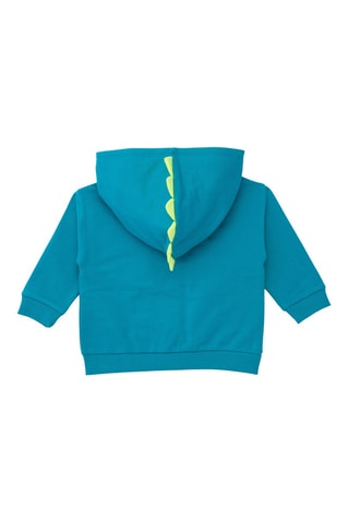 Sweater met Capuchon - Groen