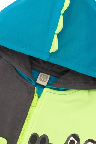 Sweater met Capuchon - Groen