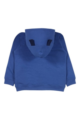 Sweater met Capuchon en Oortjes - Blauw, groen en paars