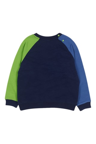Sweater - Blauw en paars