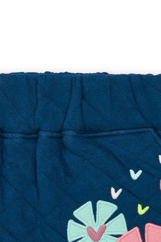 Rok - Blauw en roze