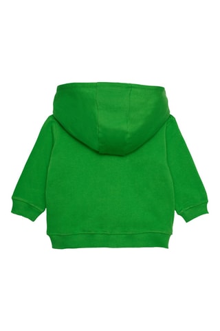 Sweater met Capuchon - Groen