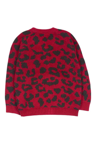 Vest - Zwart, rood en groen