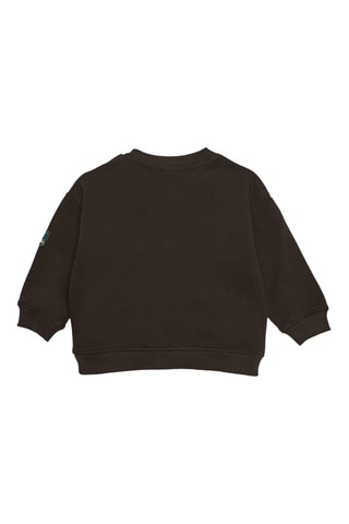 Sweater - Bruin