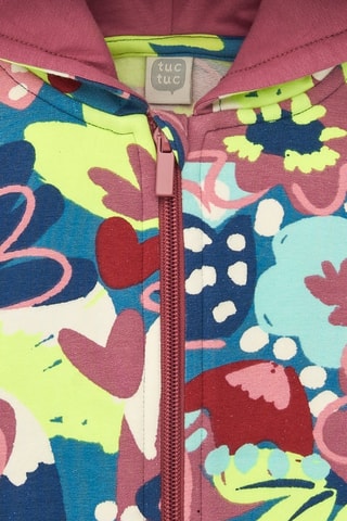 Sweater met Capuchon - Blauw en groen