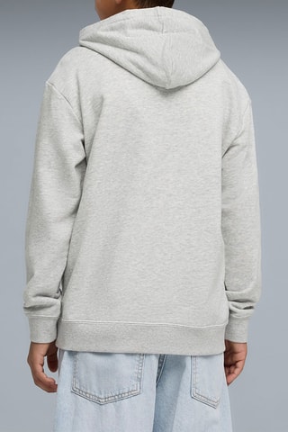 Sweat à capuche Essentials - Gris clair