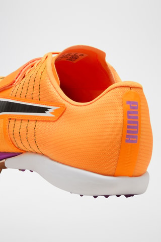 Chaussures d’athlétisme Evospeed - Jaune foncé