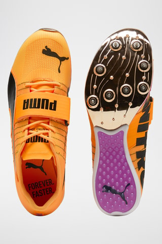 Chaussures d’athlétisme Evospeed - Jaune foncé