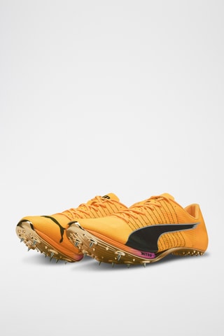 Scarpe da atletica Evospeed - Giallo scuro