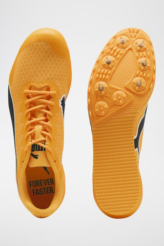 Scarpe da atletica Evospeed - Giallo scuro