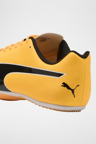 Scarpe da atletica Evospeed - Giallo scuro
