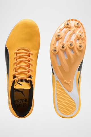 Scarpe da atletica Evospeed - Giallo scuro