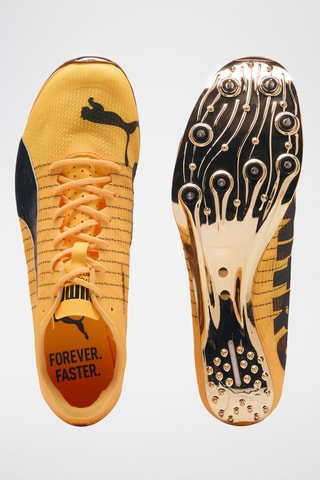 Scarpe da atletica Evospeed - Giallo scuro