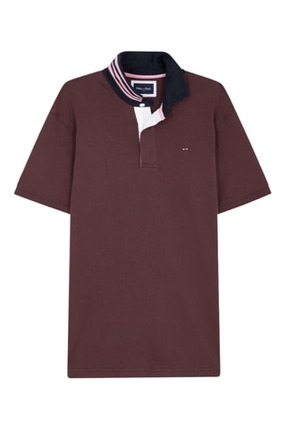 Polo Capitaine - Marron