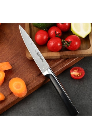 Cuchillo office de acero inoxidable 3CR13 - 24 cm