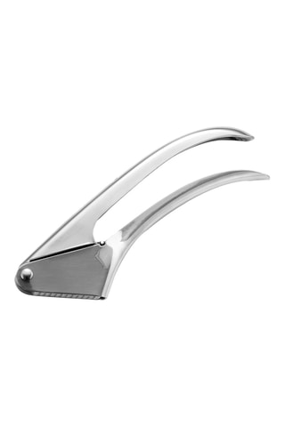 Prensador de ajo de acero inoxidable - 19 x 6 x 4 cm