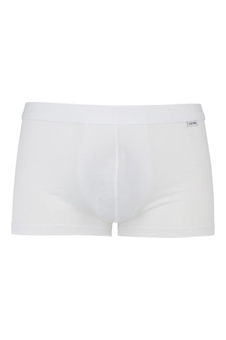 Boxer - Wit