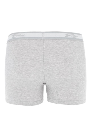 2 Boxers - Gemêleerd Grijs - Grijs