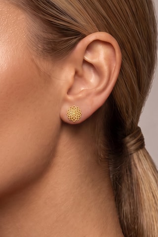 Oorbellen Zilver Doublé Goud
