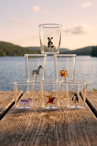 6 vasos de vidrio de borosilicato Savan Family - 30 cl