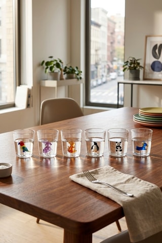 6 vasos de vidrio de borosilicato Pet Friends - 30 cl