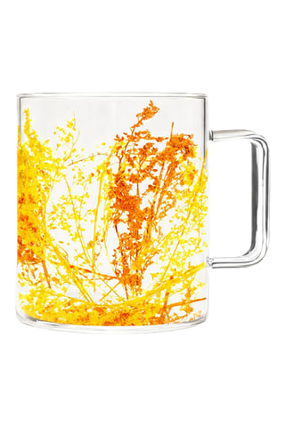 6 tazas de vidrio de borosilicato Flovers - 40 cl