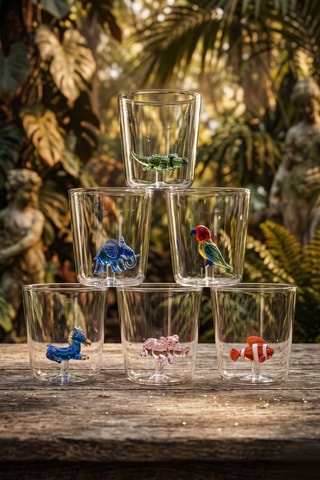 6 vasos de vidrio de borosilicato Savan Family - 30 cl