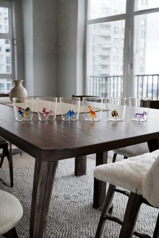 6 vasos de vidrio de borosilicato Pet Friends - 30 cl