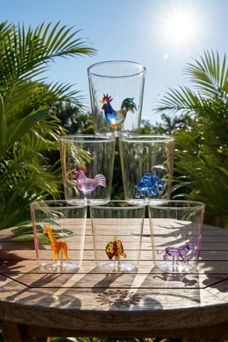 6 vasos de vidrio de borosilicato Pet Friends - 30 cl