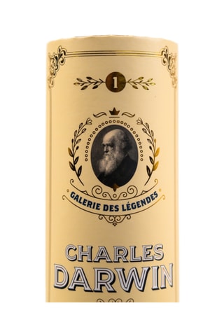 Puzzle Charles Darwin Galerie des Légendes  - 1000 pièces - Dès 12 ans
